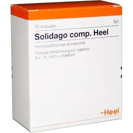 Heel Solidago COMP.Heel Ampullen