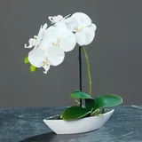 mucplants Kunstblume Orchidee Phalaenopsis im Kunststoff-Schiffchen, Creme, ca. 30cm künstliche Orchidee, Zimmer- oder Tischdekoration