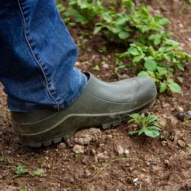 Nora Clogs olivgrün 43