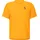 Scott Endurance Lt Gleam Orange L