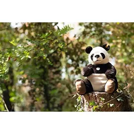 Steiff Teddies for Tomorrow Pandi Großer Panda 40 cm Schwarz/Weiß