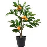 Orangenbaum 56cm im Topf 8Früchte 56Blatt  - orange/gn