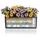 LECHUZA Balconera Cottage 50 Komplettset 50 x 19 x 19 cm mokka