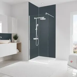 Schulte Duschrückwand grau