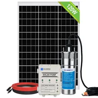 DCHOUSE Solar-Tiefenbrunnen-Wasserpumpen-Kit, 12-V-DC-Tauchwasserpumpe mit 120-W-Mono-Solarpanel, 10-Ah-Batterieregler für Brunnenteich, Home Farm, Edelstahl