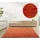 rug n' roll WEBTEPPICH Luxus Designerteppich 60x90 cm