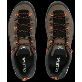 Salewa Alp Trainer 2 GTX Herren Bungee Cord/Black 45