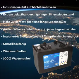 Sonnenschein / Exide Ersatzakku für RA 501 IBC - Reinigungsmaschine Akku - Batterie Reinigungsmaschine