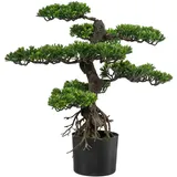 Creativ green Kunstpflanze Bonsai, Höhe: 75 cm grün, - Grün