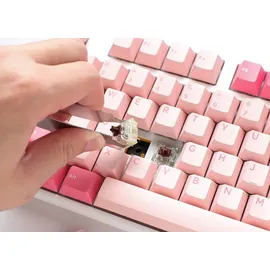 Ducky One 3 Gossamer Pink Gaming Tastatur - MX-Ergo-Clear US Englisch Pink, Weiß