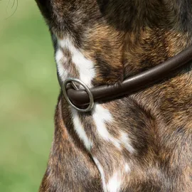 Kieffer Ultrasoft Hundehalsband Braun 45 cm