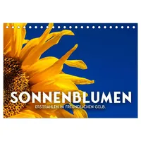 Calvendo Sonnenblumen - Erstrahlen im freundlichen Gelb. (Tischkalender 2026