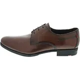 LLOYD RUBIN braun, / 10