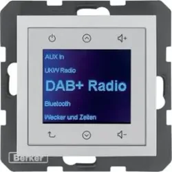Berker 29841404 Radio DAB+, B.x alu matt