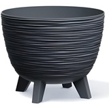 Prosperplast Furu Blumentopf, Schale mit Füßen, Pflanzschale, UV-strahlenbeständig (Anthrazit, ⌀ 236mm)