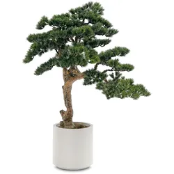 Kunstpflanze Kiefer-Bonsai
