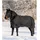 Waldhausen Outdoordecke Nordic 300 g 155 cm Schwarz