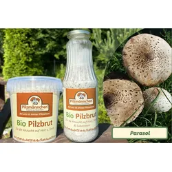 Parasol-Pilzbrut BIO 1 Liter
