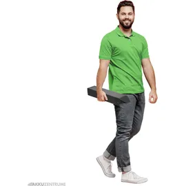 Joycube (Phylion) Akku Joycube DT-12 11,6Ah 36V