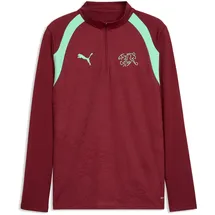 Puma SFV Training 1/4 Zip Top Rot, F09 M
