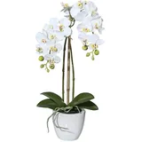 kunstpflanzen-discount.com Gefühlsechte Orchideen Kunstblume 57cm mit 2 Creme weißen Blütenzweigen im Topf - Große künstliche Orchidee mit Knospen