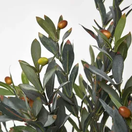 Homescapes KUNSTBAUM Olive, 90 cm