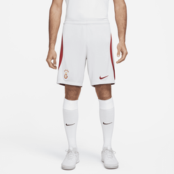 Galatasaray 2023/24 Stadium Away Nike Dri-FIT Fußballshorts für Herren - Grau, XL