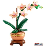 LEGO Botanicals 10343 Mini-Orchidee