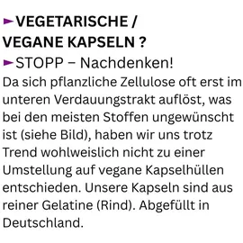 VitalLife Natur Pur Weihrauch Boswellia Serrata Kapseln 180 St.