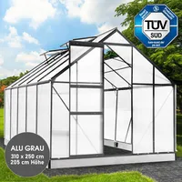 Brast Aluminium-Gewächshaus 310x250x205 anthrazit