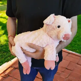 COZY NOXXIEZ Noxxiez Ferkel mit Mama 30 cm Rosa