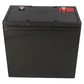 KungLong Ersatzakku für Sterling S425 2x 12V (24V) 55Ah Zyklenfest AGM Long