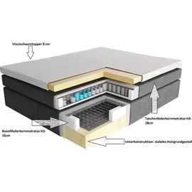 Fun Möbel Boxspringbett Schlafzimmerbett DEVIL Delux 200x200cm in Stoff Scala Braungrau - Grau