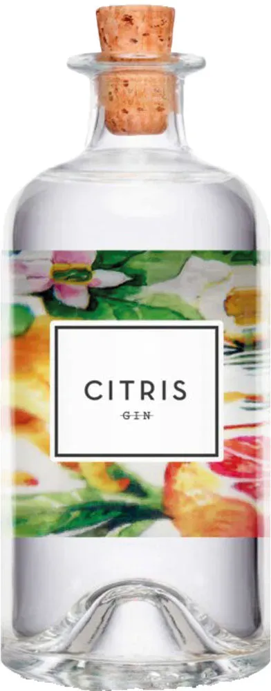 Rubus CITRIS Gin 42% 0,5 Liter