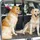 PawHut Hundegitter verstellbar Schwarz 89-150 x 76-124 cm