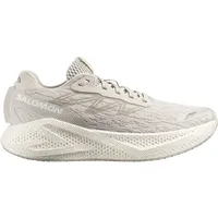 Salomon Aero Glide 4 Herren Silver Cloud/Silver Cloud 44 2/3