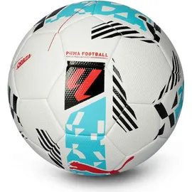 Puma Fussbälle, 4