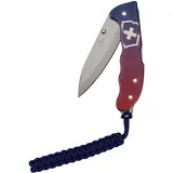 Victorinox Evoke Alox Grosses Taschemesser, Klappbares Messer blau/rot