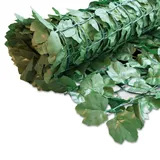 powertec Sichtschutzhecke Ahornoca 150x300cm