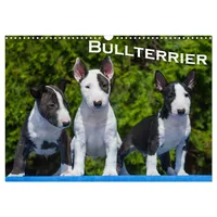 Calvendo Bullterrier (Wandkalender 2026 DIN A3 quer), CALVENDO Monatskalender: