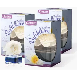 CLENTAIRE Raumduft 15 x 75ml Magische Duftblume Lotus Flower
