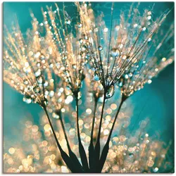 Wandbild ARTLAND "Pusteblume Schirmchen abstrakt", blau (farbe bild(er): blau), B:70cm H:70cm, Bilder, als Alubild, Outdoorbild, Leinwandbild, Poster, Wandaufkleber
