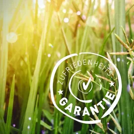 Biotiva Labkraut geschnitten Bio Tee 250 g