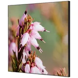 Showdown Displays Bilderrahmen schwarz 40x40 cm 1 St.
