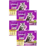 Mars Junior Geflügel Auswahl in Gelee 48 x 85 g