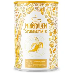 Mineralstoffe + Spurenelemente Komplex Banane 450 g