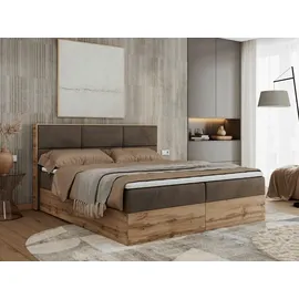 MKS Albero-2 120 x 200 cm H3 Braun
