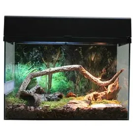 Lucky Reptile Terrarium-Starter Kit Schwarz 50 x 40 x 28 cm