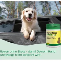 cdVet Gute Reise Vet