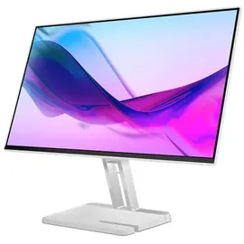 Lenovo L24i-4A 24" grau